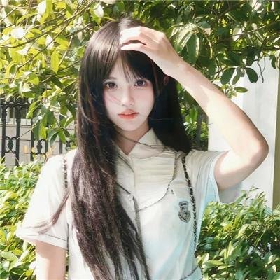 鲨人树儿